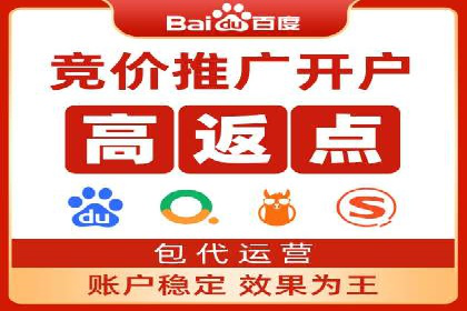 SEM推广公司案例：打造行业领军品牌